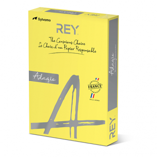 A4 (210x297mm) Rey Adagio Yellow 160gsm | 250 Sheets
