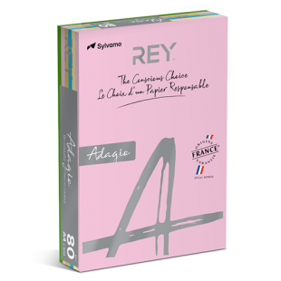 A4 (210x297mm) Rey Adagio Pastel Mix 80gsm | 250 Sheets