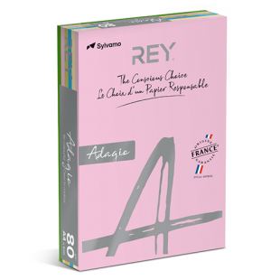 Rey Ada Pastel Mixed Pack