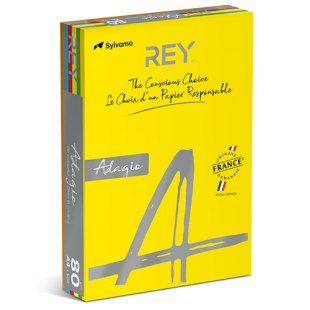 A4 (210x297mm) Rey Adagio Deep Colour Mix 80gsm | 250 Sheets