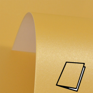 Mustard Card Blank Symbol