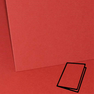 Red 290 Card Blank Symbol