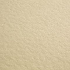 Rich Cream Hammer 255 Surf
