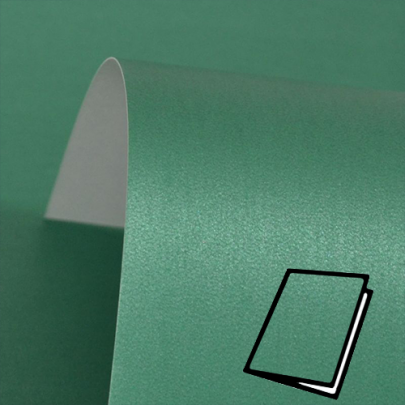 Xmas Green Card Blank Symbol Template